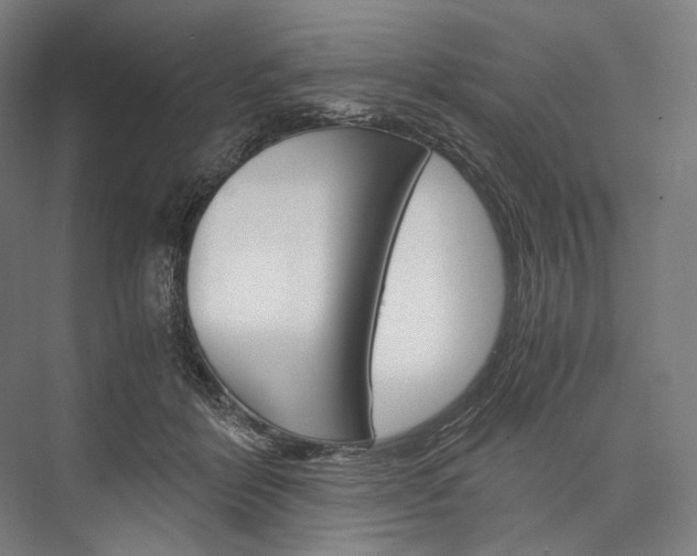 X0000076430412200610061004