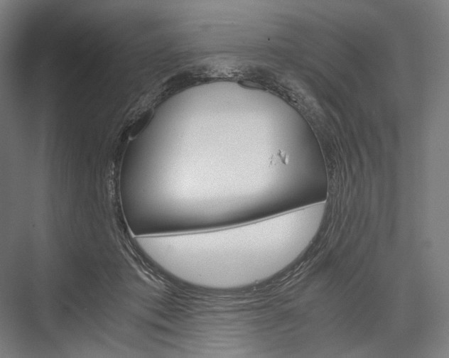 X0000076430413200610061004