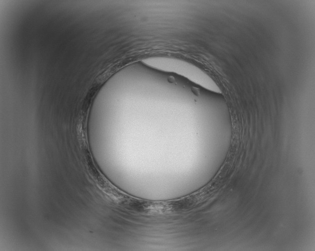 X0000076430415200610061004
