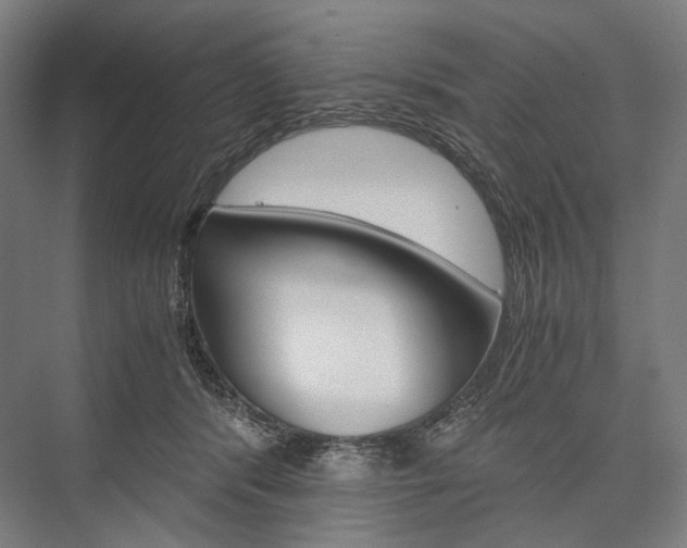 X0000076430416200610061004