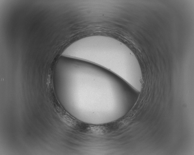 X0000076430417200610061004
