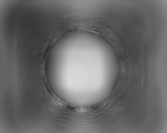 X0000076430419200610061004