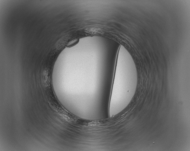 X0000076430420200610061004