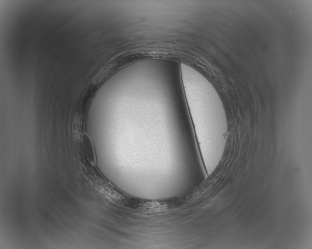 X0000076430421200610061004