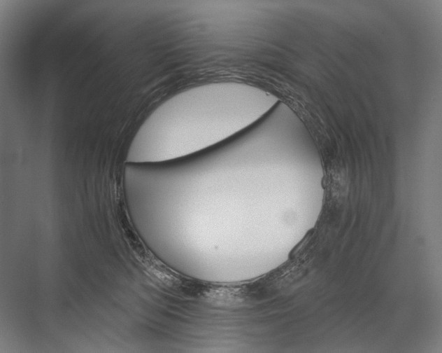 X0000076430422200610061004