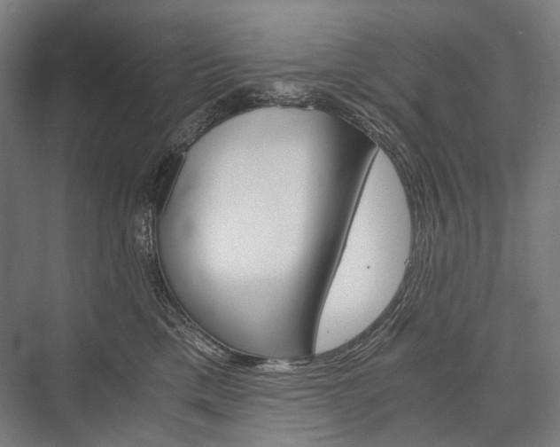 X0000076430425200610061004