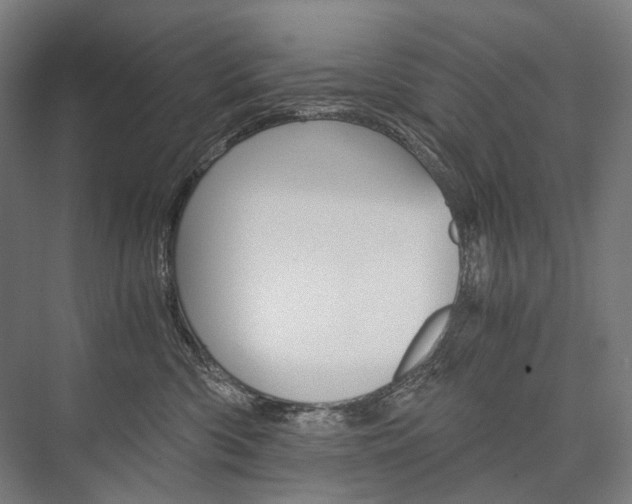 X0000076430426200610061004