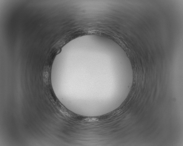 X0000076430427200610061004