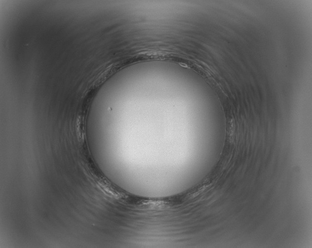X0000076430428200610061004