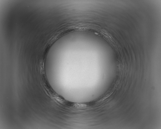 X0000076430429200610061004