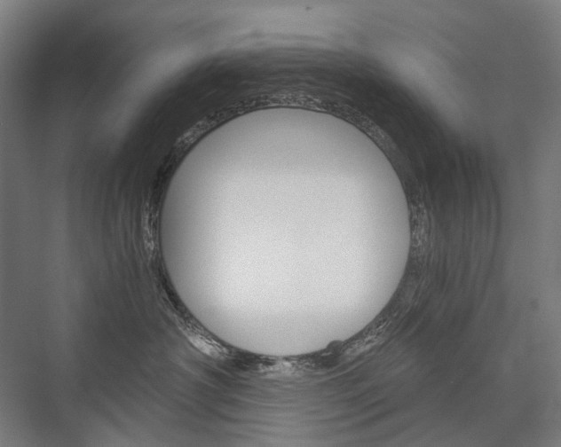 X0000076430430200610061004