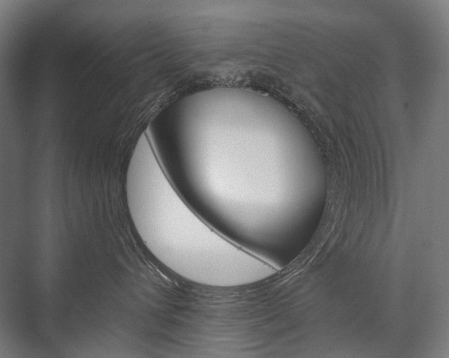 X0000076430432200610061004