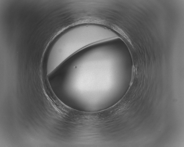 X0000076430436200610061003