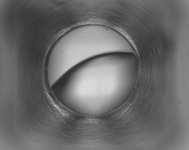 X0000076430437200610061003