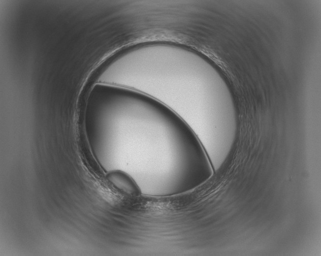 X0000076430440200610061003