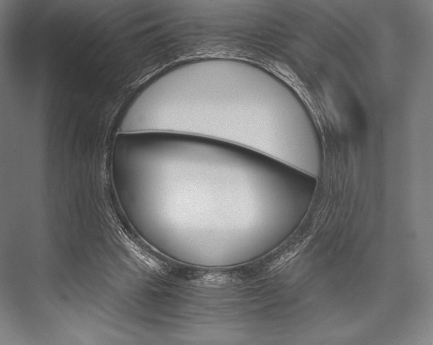 X0000076430441200610061003