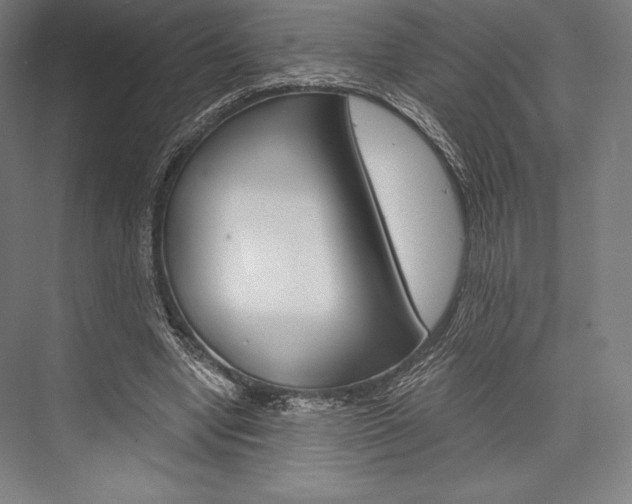 X0000076430442200610061003