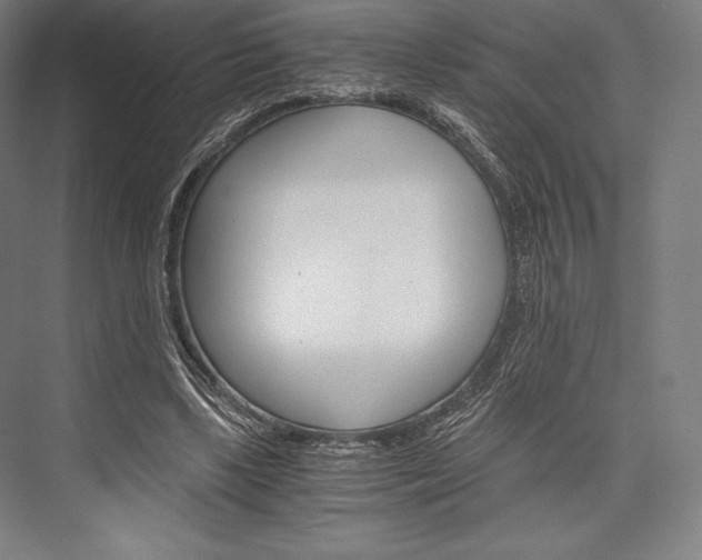 X0000076430443200610061003