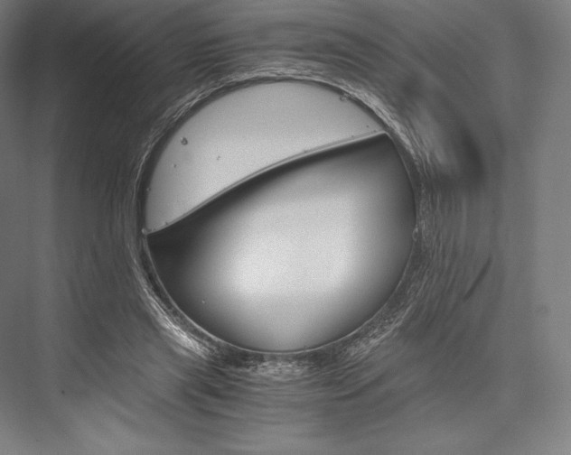 X0000076430445200610061003