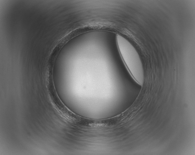 X0000076430448200610061003