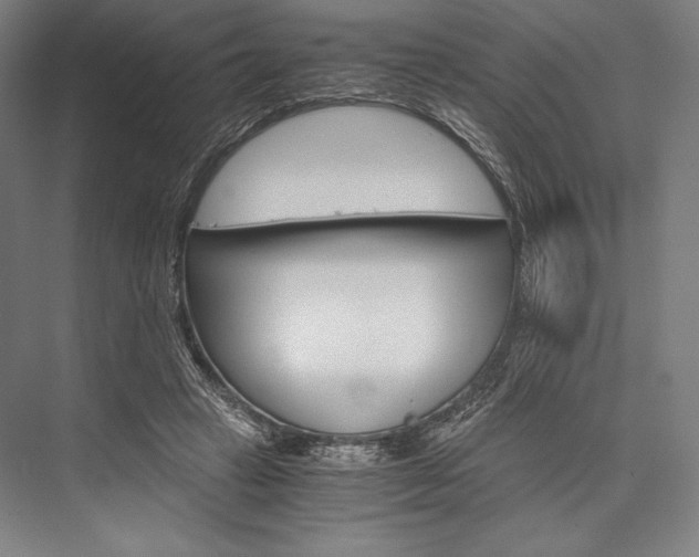 X0000076430449200610061003
