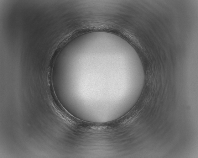 X0000076430450200610061003