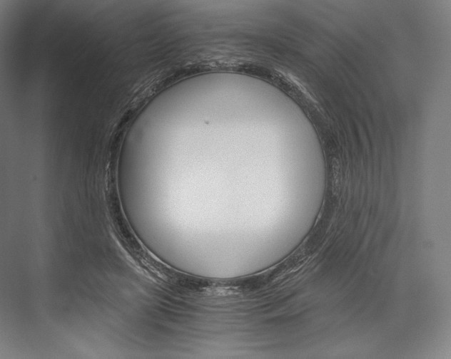 X0000076430451200610061003
