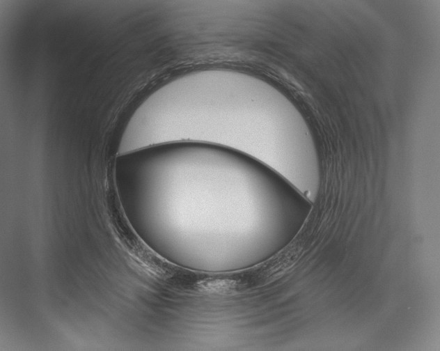 X0000076430452200610061003