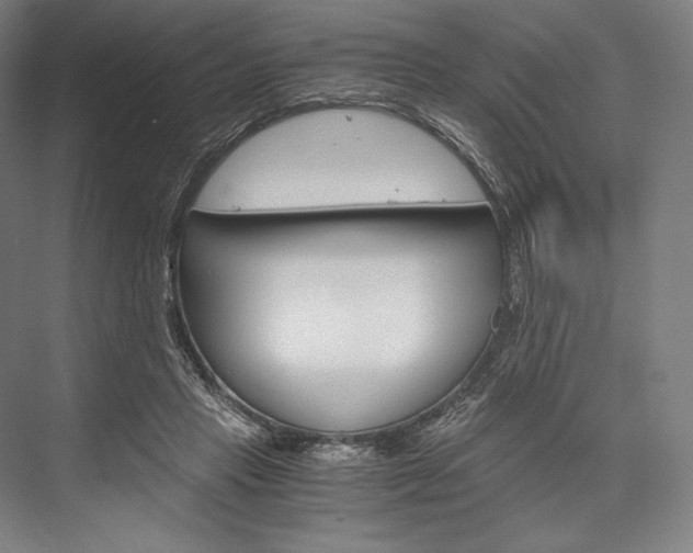 X0000076430453200610061003