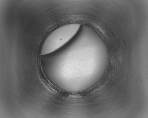 X0000076430455200610061004