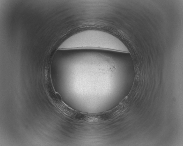 X0000076430456200610061004