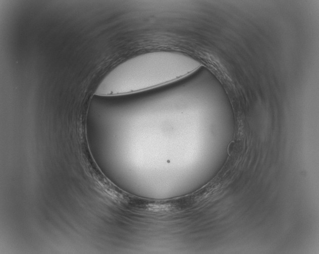 X0000076430457200610061004