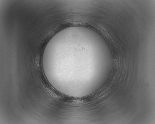 X0000076430458200610061004