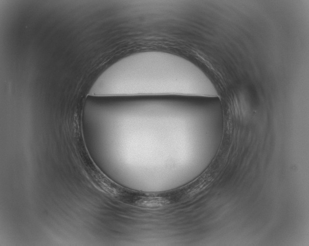 X0000076430459200610061004