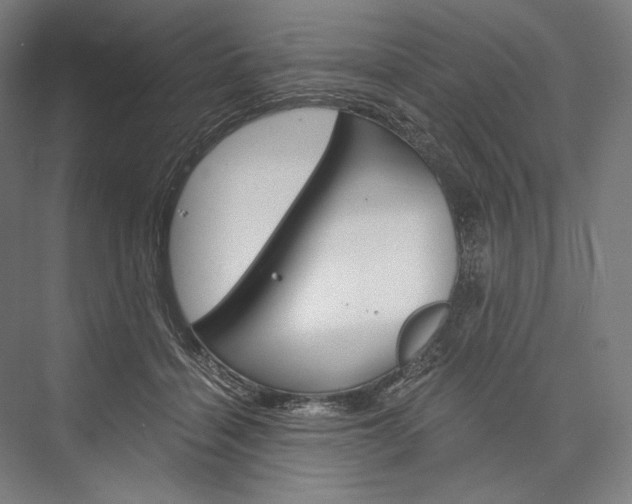 X0000076430460200610061004