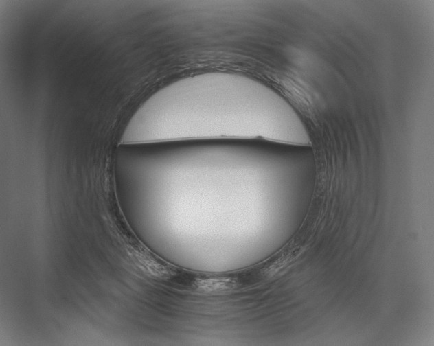 X0000076430461200610061004