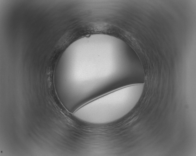 X0000076430462200610061004