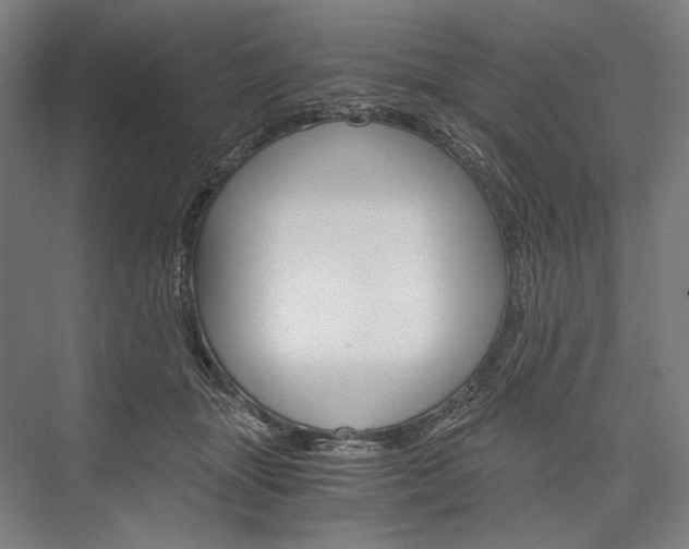 X0000076430463200610061004