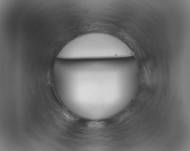 X0000076430465200610061004