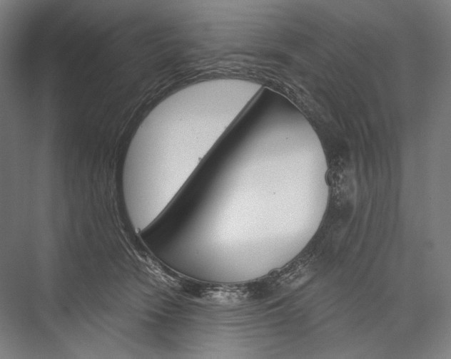 X0000076430466200610061004