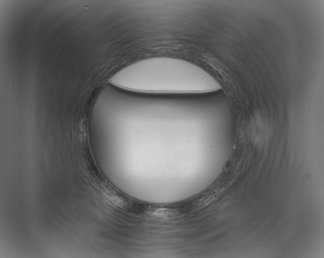 X0000076430467200610061004