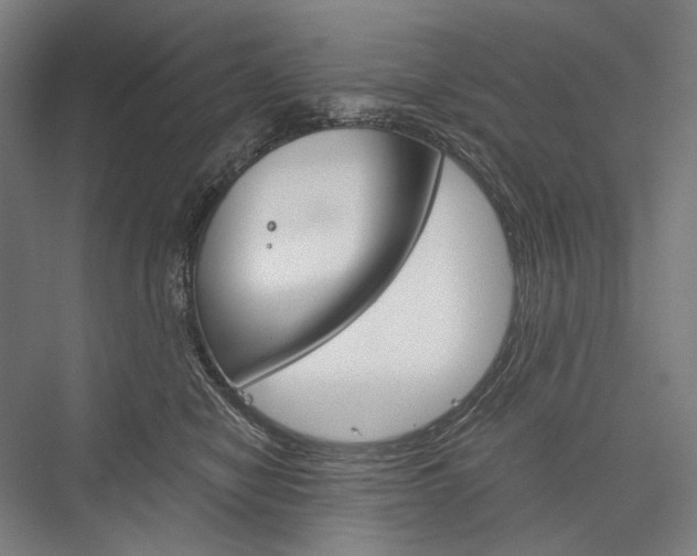 X0000076430470200610061004