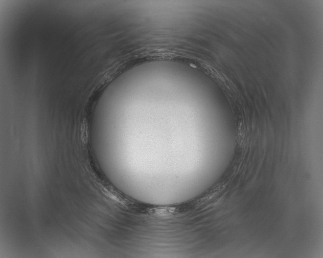 X0000076430474200610061004