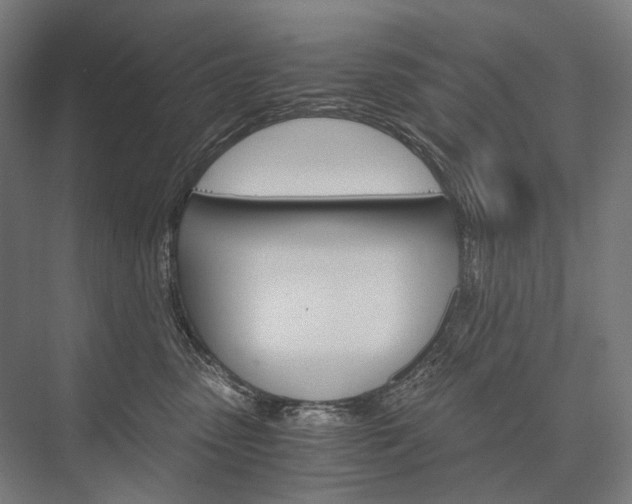 X0000076430475200610061004