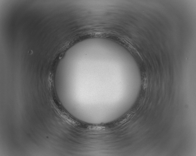 X0000076430476200610061004