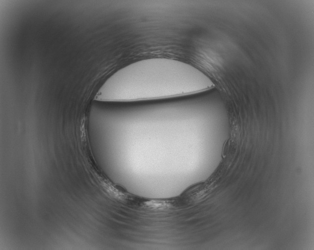 X0000076430477200610061004