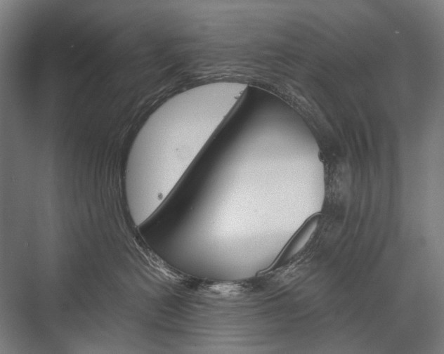 X0000076430478200610061004