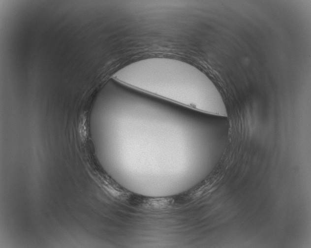 X0000076430479200610061004