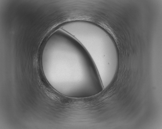 X0000076430483200610061003