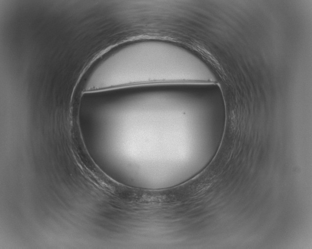 X0000076430484200610061003